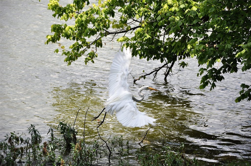 Picture 28