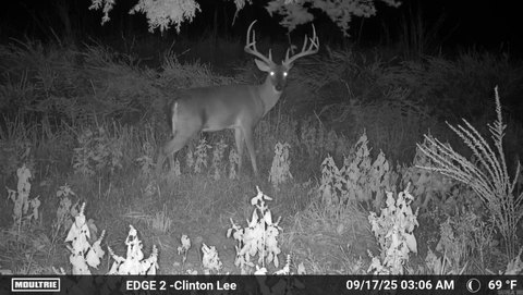 Van Buren County Hunting Land