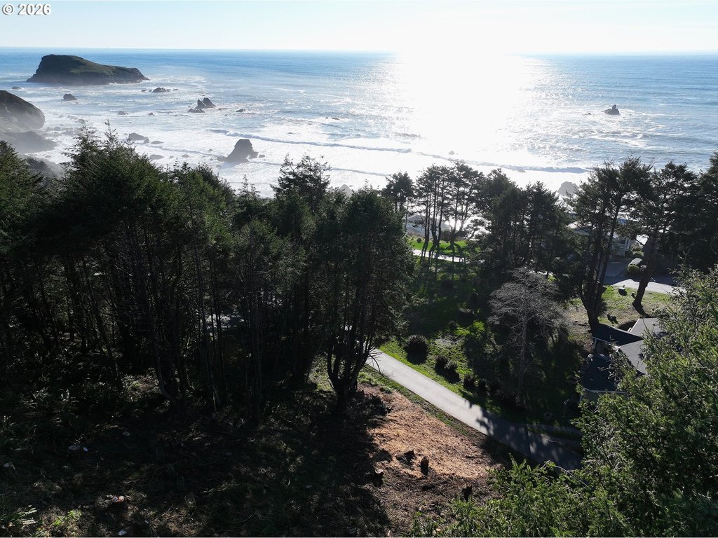 Picture 15