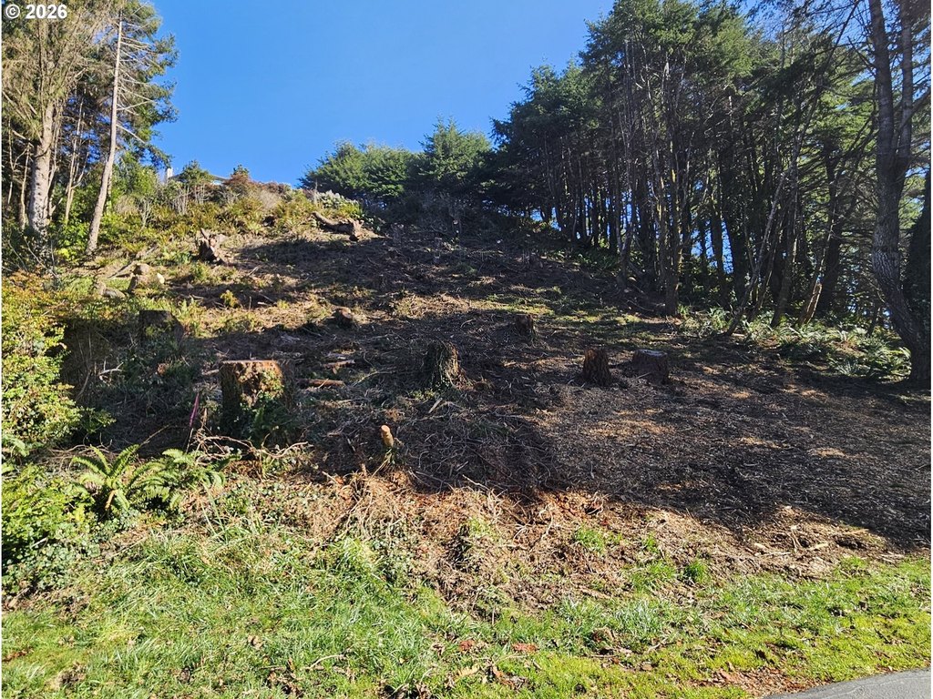 Picture 6