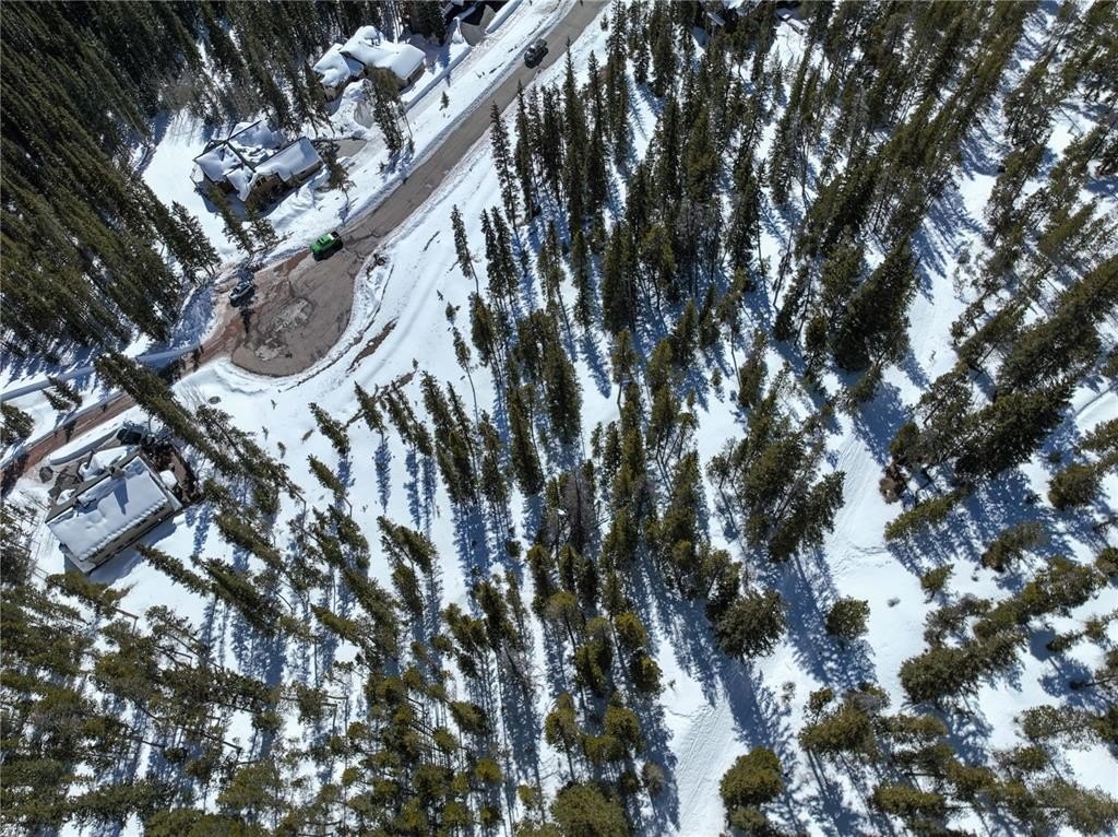 Picture 7