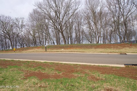 Tennessee National View Homesite