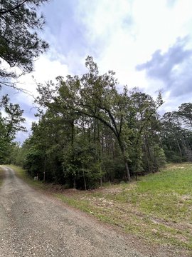 Rayburn Country Land For Sale