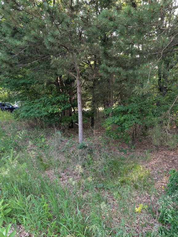 Picture 3