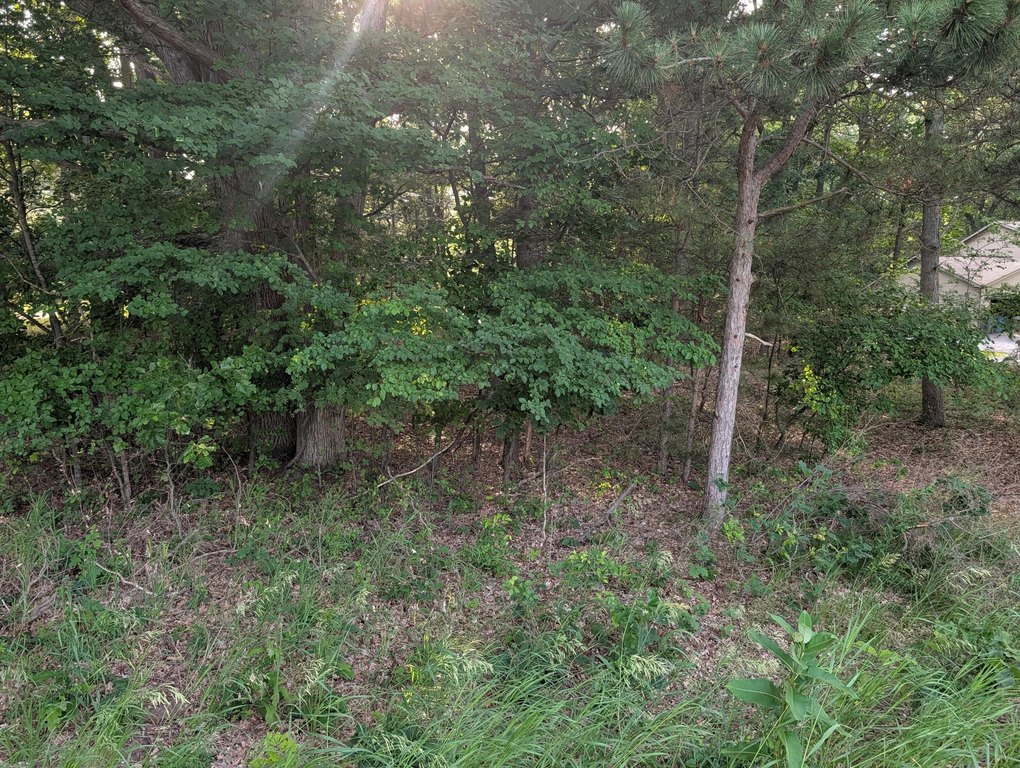 Picture 2