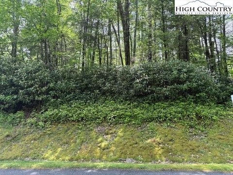 Linville Land in Gated Community