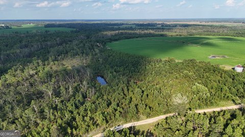 Unique Hunting Tract Near Hazlehurst