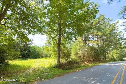 Vancleave Land with Development Potential