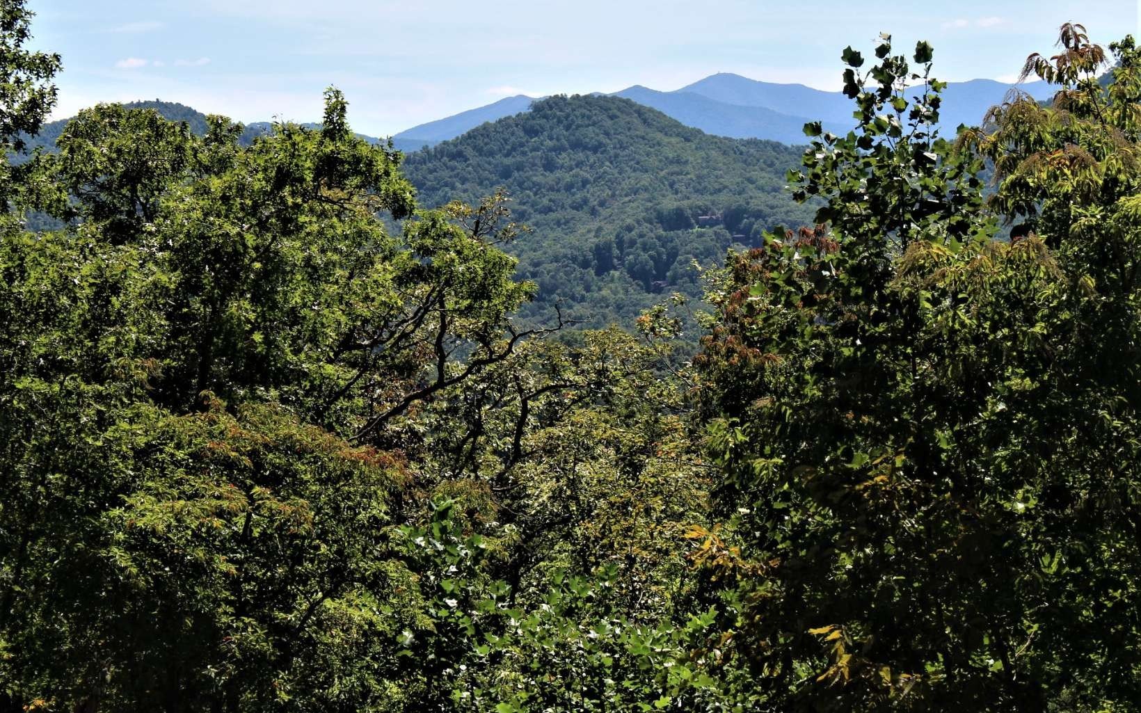 Hayesville Vacant Lot with View