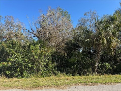Port Charlotte Vacant Lot
