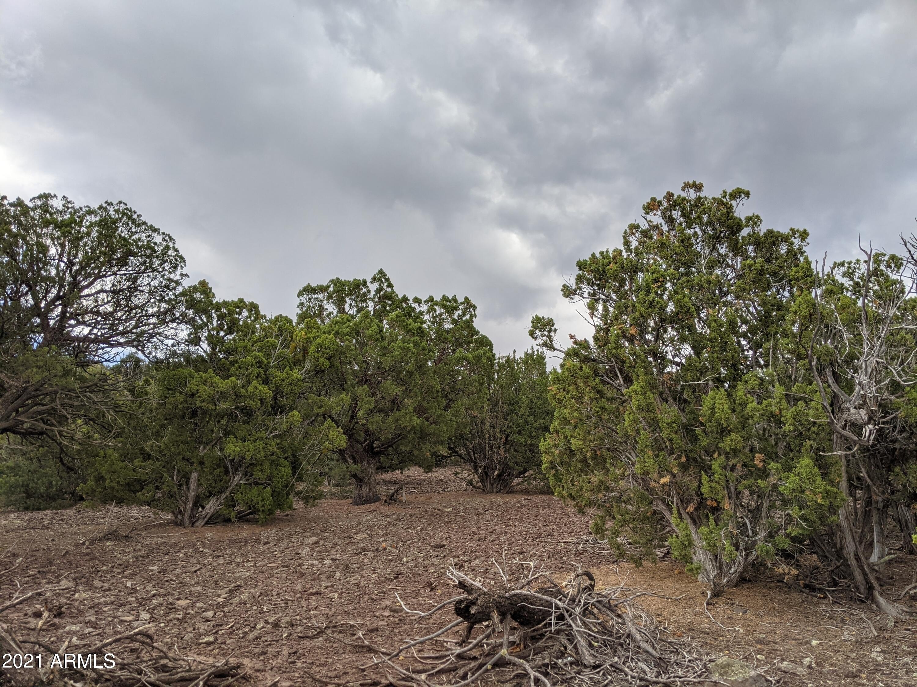 Heavily Treed Land with View