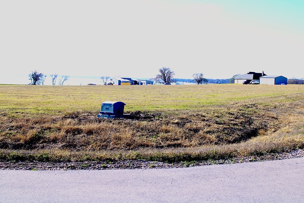 Picture 6