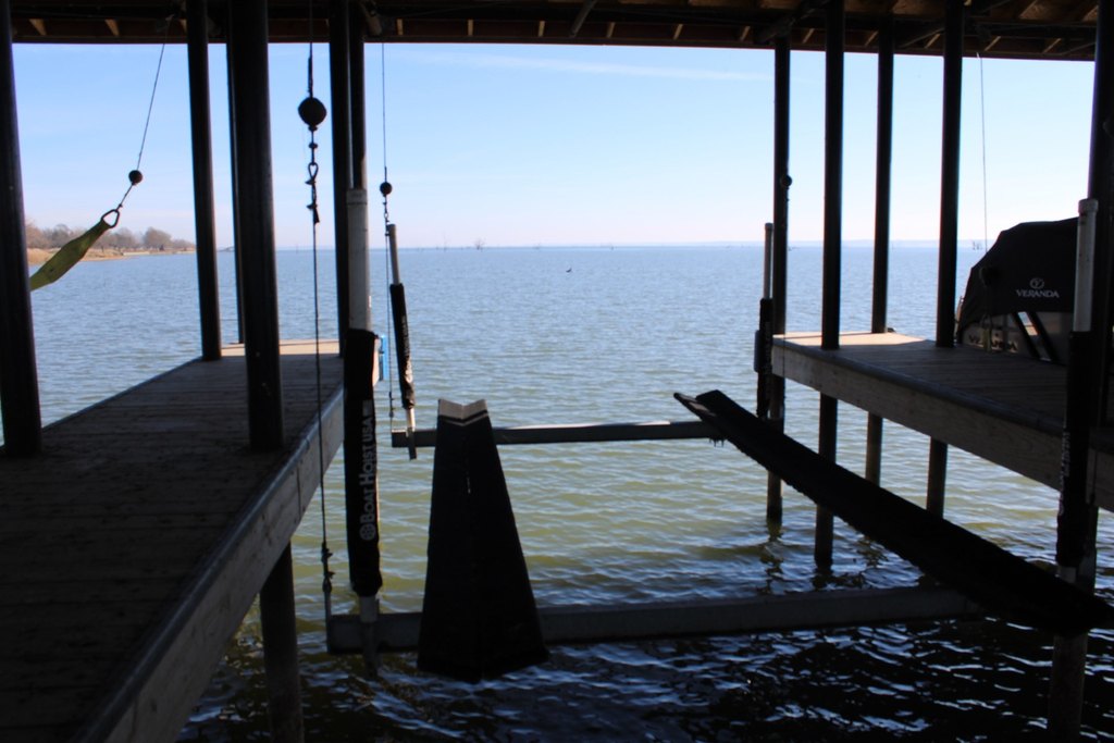 Picture 8