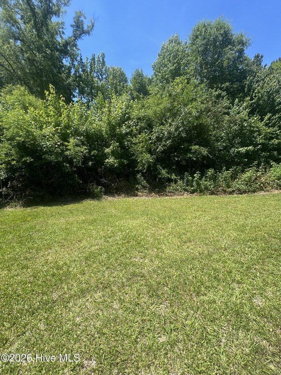 Picture 8