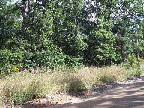 Wooded Lot Near Lily Lake