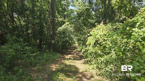Wooded Land with Creek