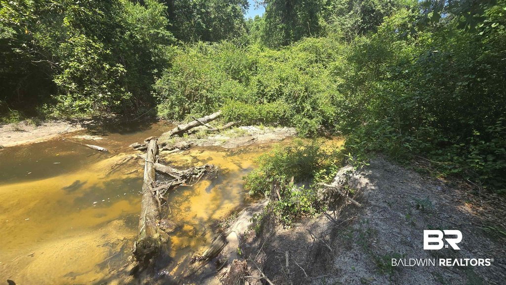 Picture 7
