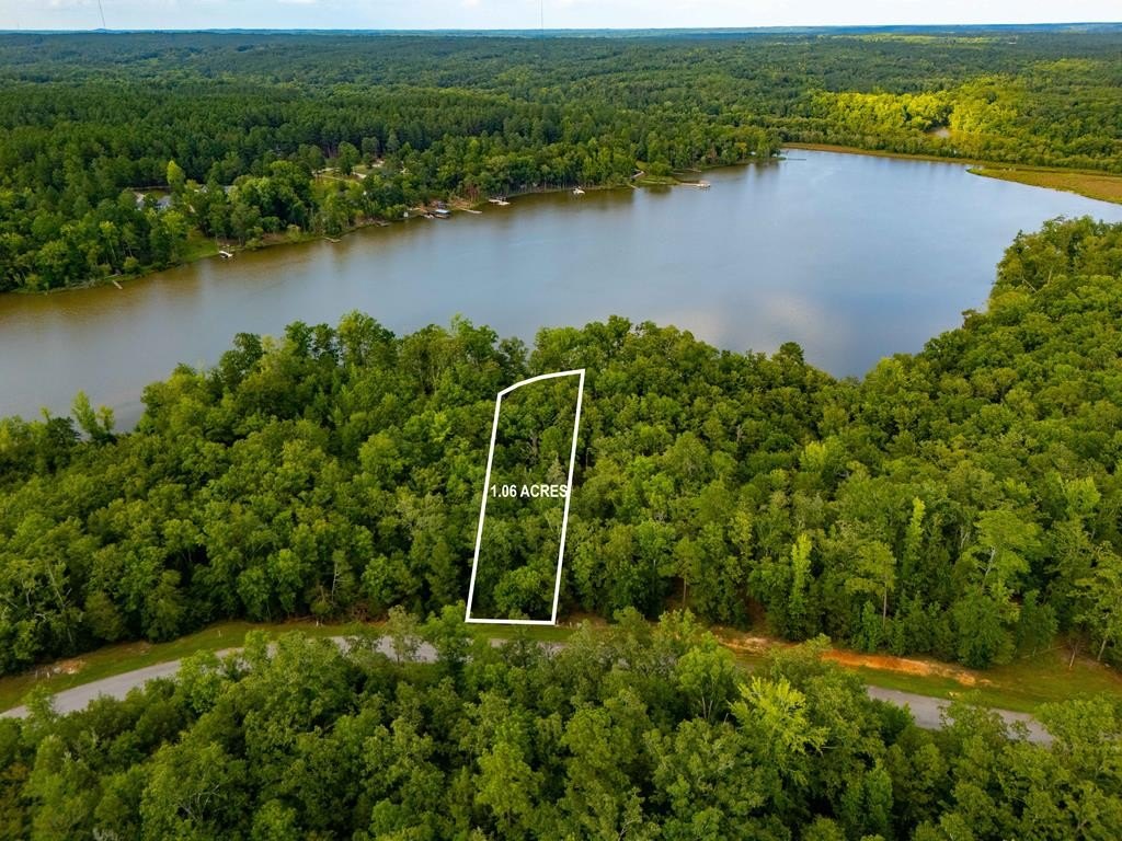 Dockable Waterfront Lot in Hodges