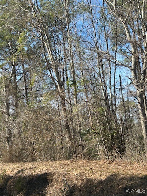 Commercial Land in Gordo, AL