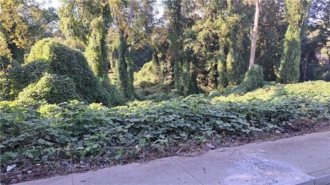 Land, Atlanta, GA