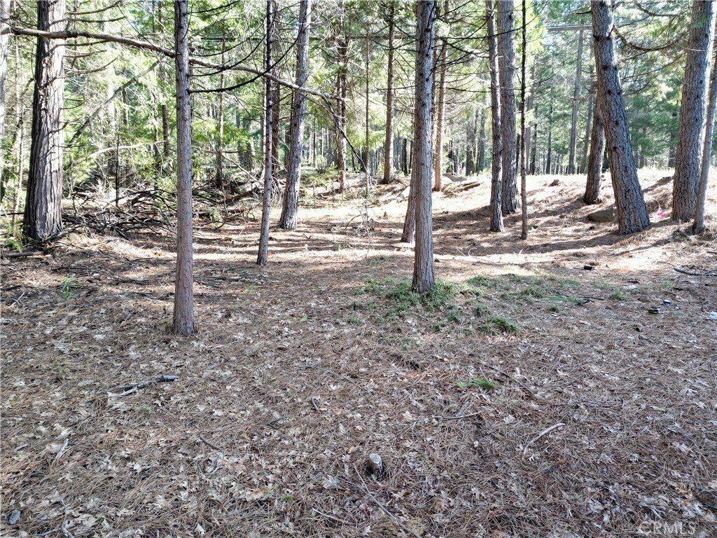 Residential Land in Magalia, CA