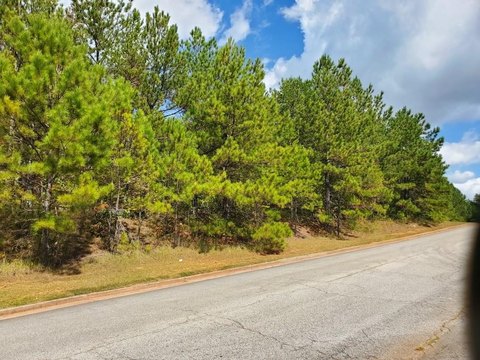 Commercial Lot in Bremen, GA