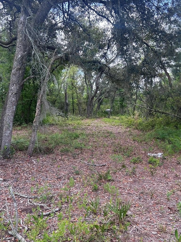 34.54 Acres Hunting Land, Perry