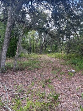 34.54 Acres Hunting Land, Perry