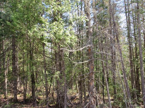 Michigan Land Parcel For Sale