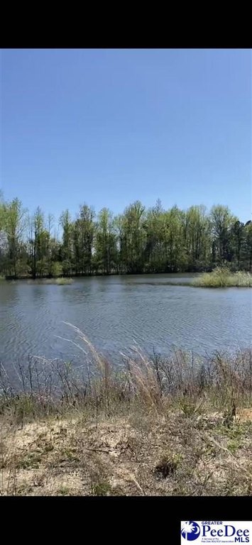 Picture 32
