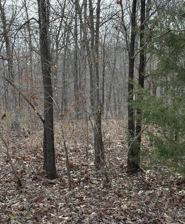 Picture 10