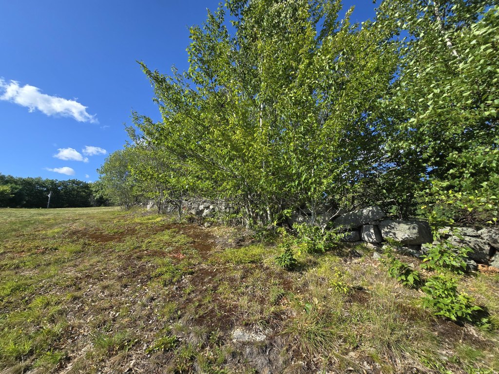 Picture 45