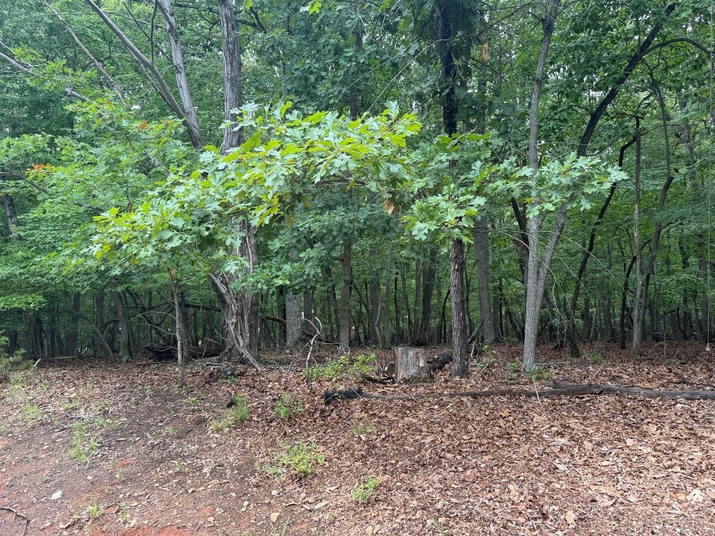 Picture 23