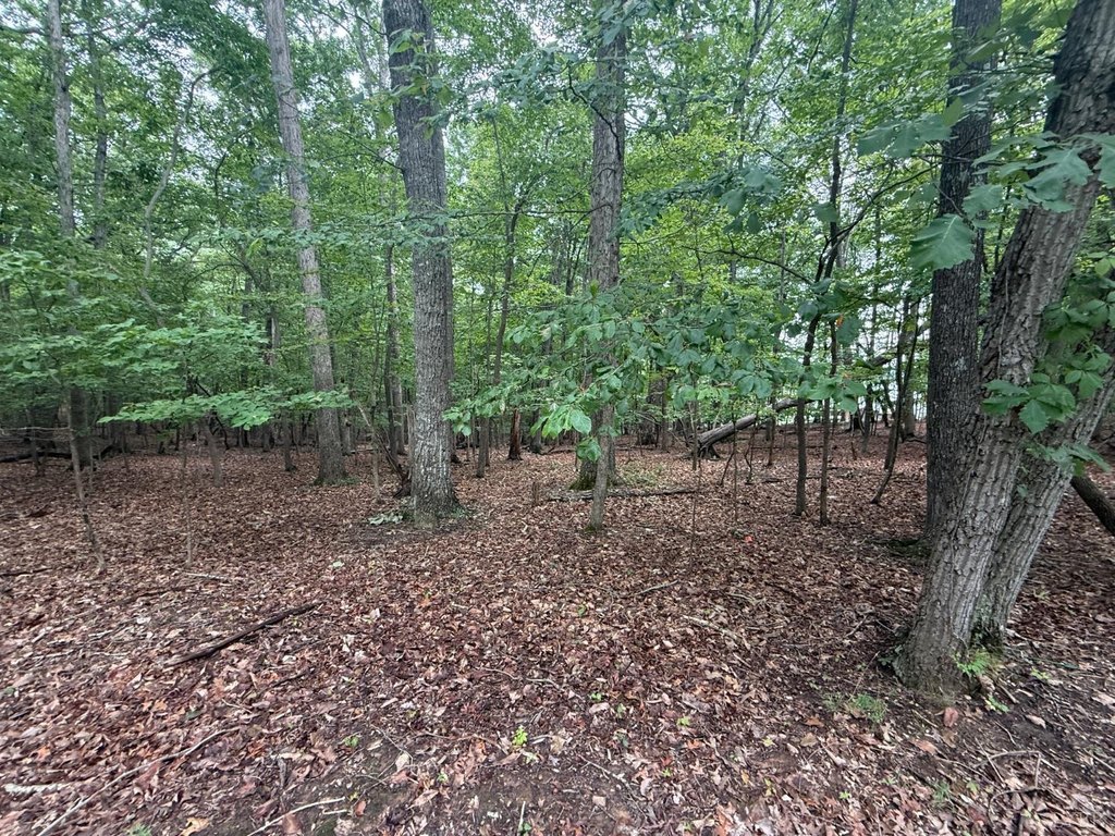 Picture 13