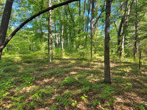 Land, Zimmerman, MN