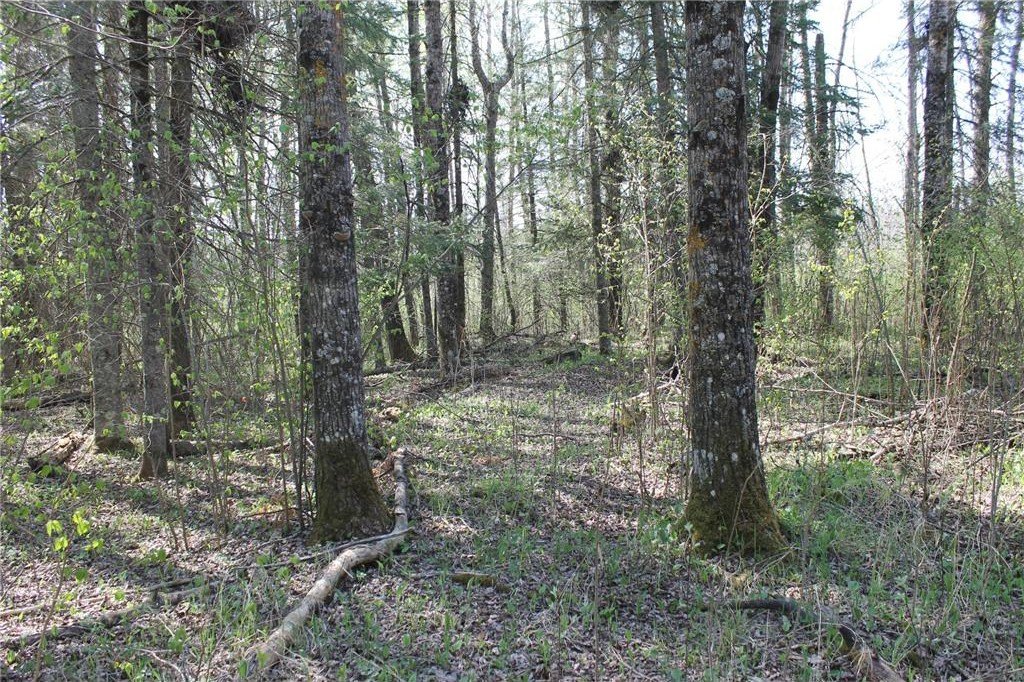 Picture 10