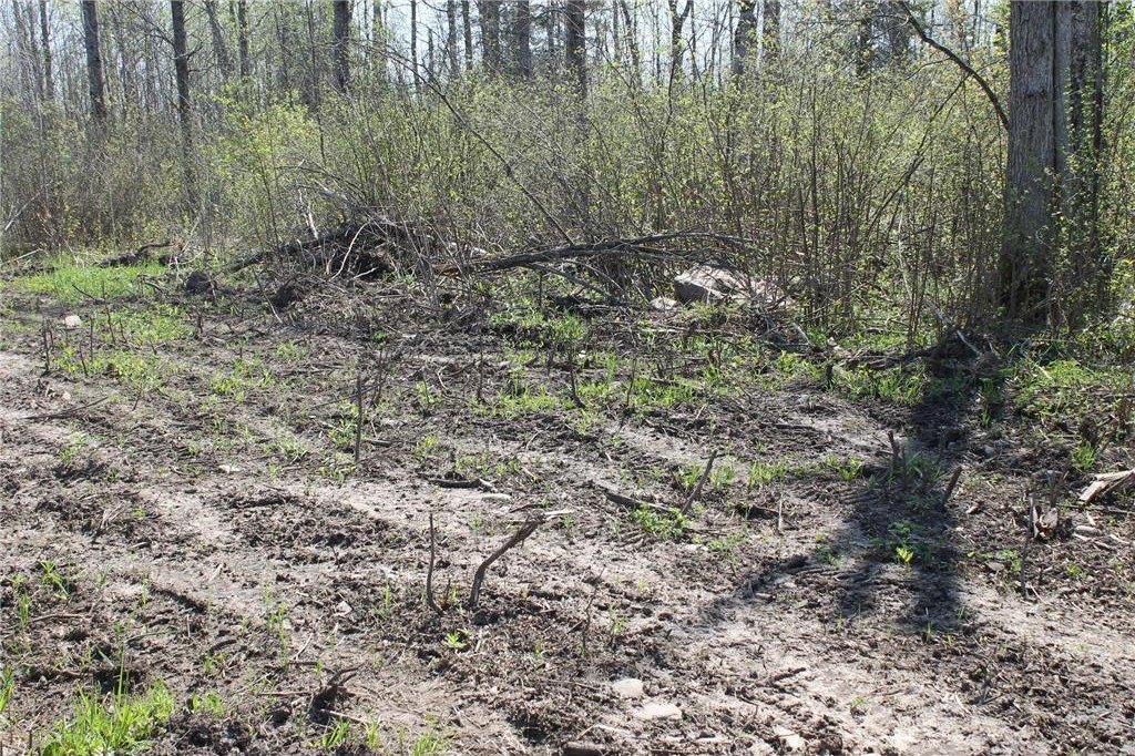Picture 19