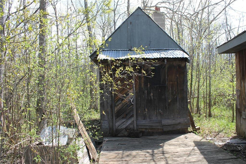 Picture 5