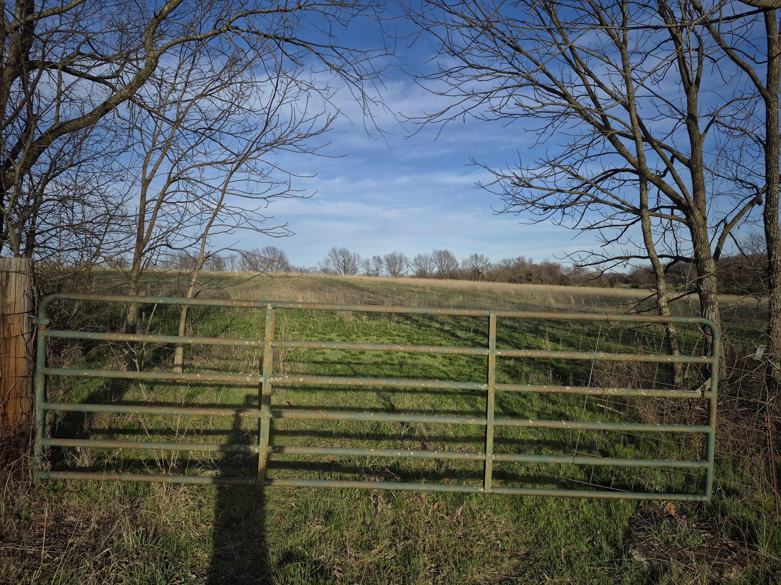 30 Acres of Farmland