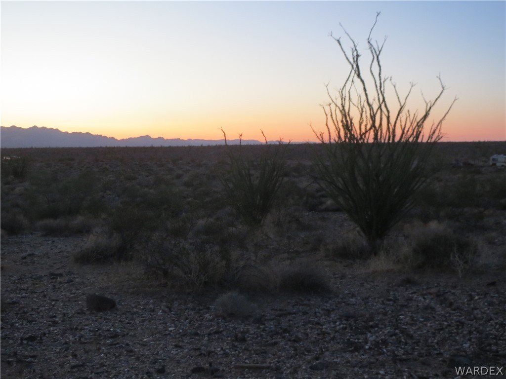 Picture 16