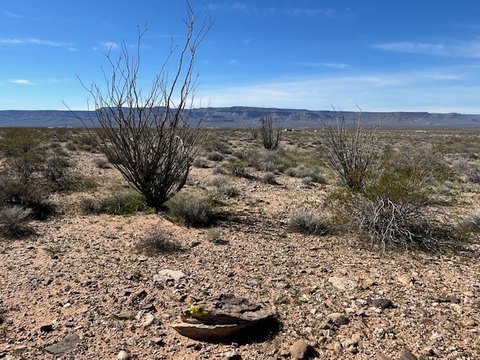 2.35 Acre Desert Lot