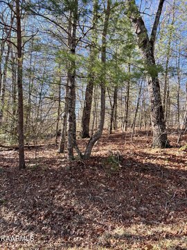 Crossville, TN Wooded Lot