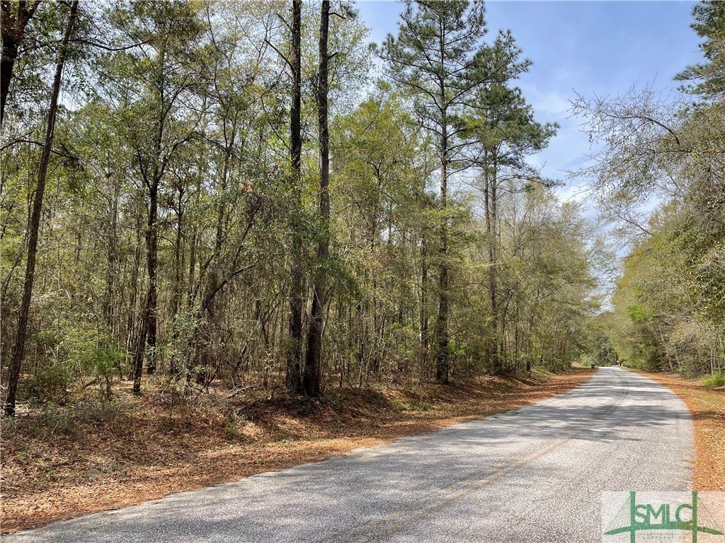 217 Acres in Springfield, GA