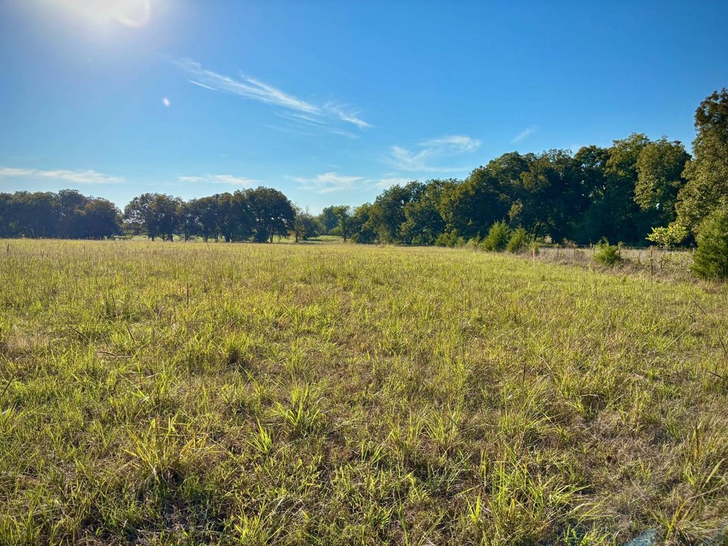 Picture 12