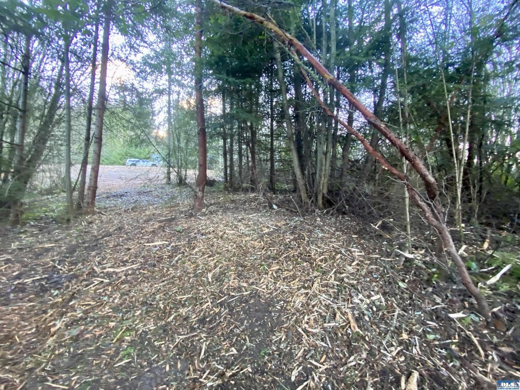 Picture 13