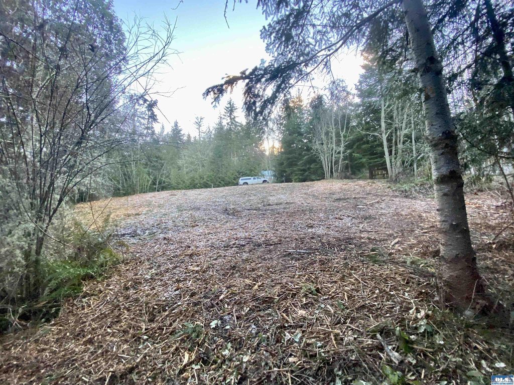 Picture 18