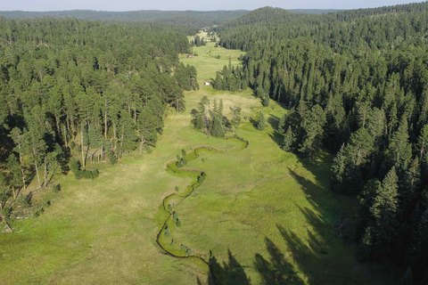LAND, Deadwood, SD