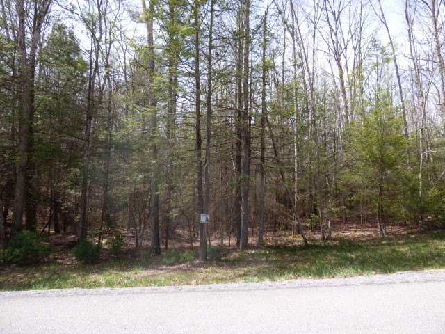 Picture 3
