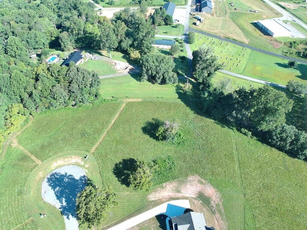 Picture 3