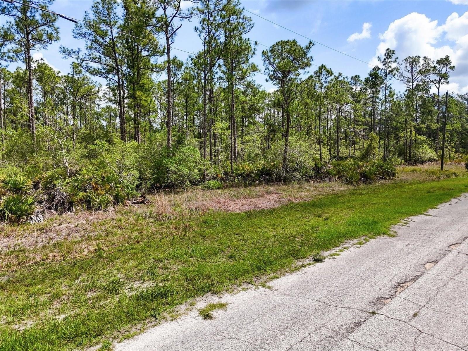 Land in Indian Lake Estates